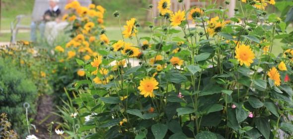 Gerontogarten