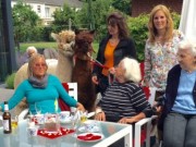 Sommerfest im Alten- und Pflegeheim Fasanenhof