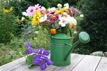 Start in die Sommerblumensaison in der Gartenbaumschule Andresen