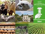 ADFC Tagesfahrradtour am Samstag, den 7.9.2019: Gut Wulksfelde