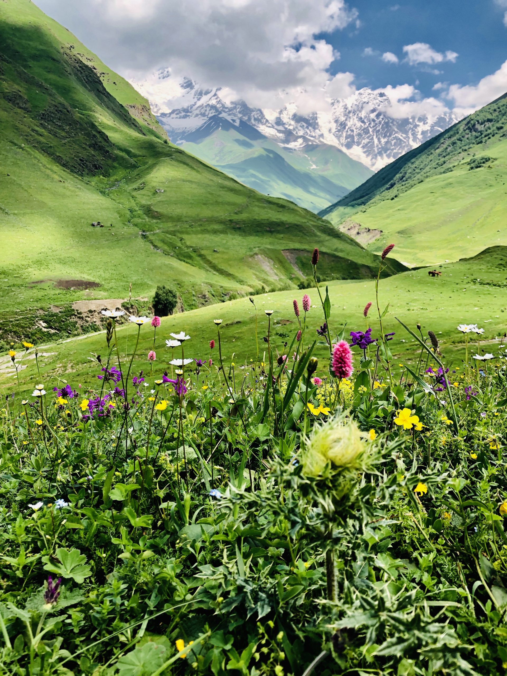 Impressionen aus Georgien