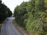 Reguläre Grünstreifen-Pflegemaßnahmen am Südring beginnen in Kürze