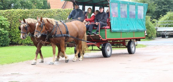 IMG_7175-590x280
