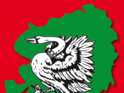 Vielseitig wie unser Kreis