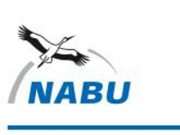 NABU-Ammersbek: Petition für den Erhalt der historischen Linde und Blutbuche