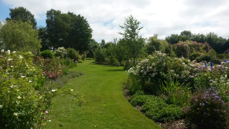 Ein Wochenende im Garten