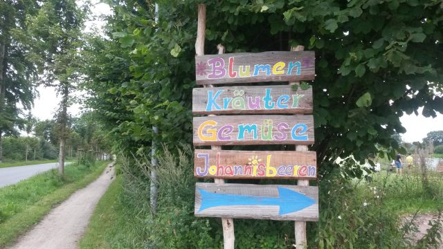 20170805_113712