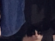 Vermisster Kater Felix