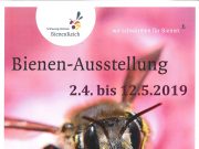 Wildbienen-Ausstellung in Ahrensburg startet mit Insektenvortrag