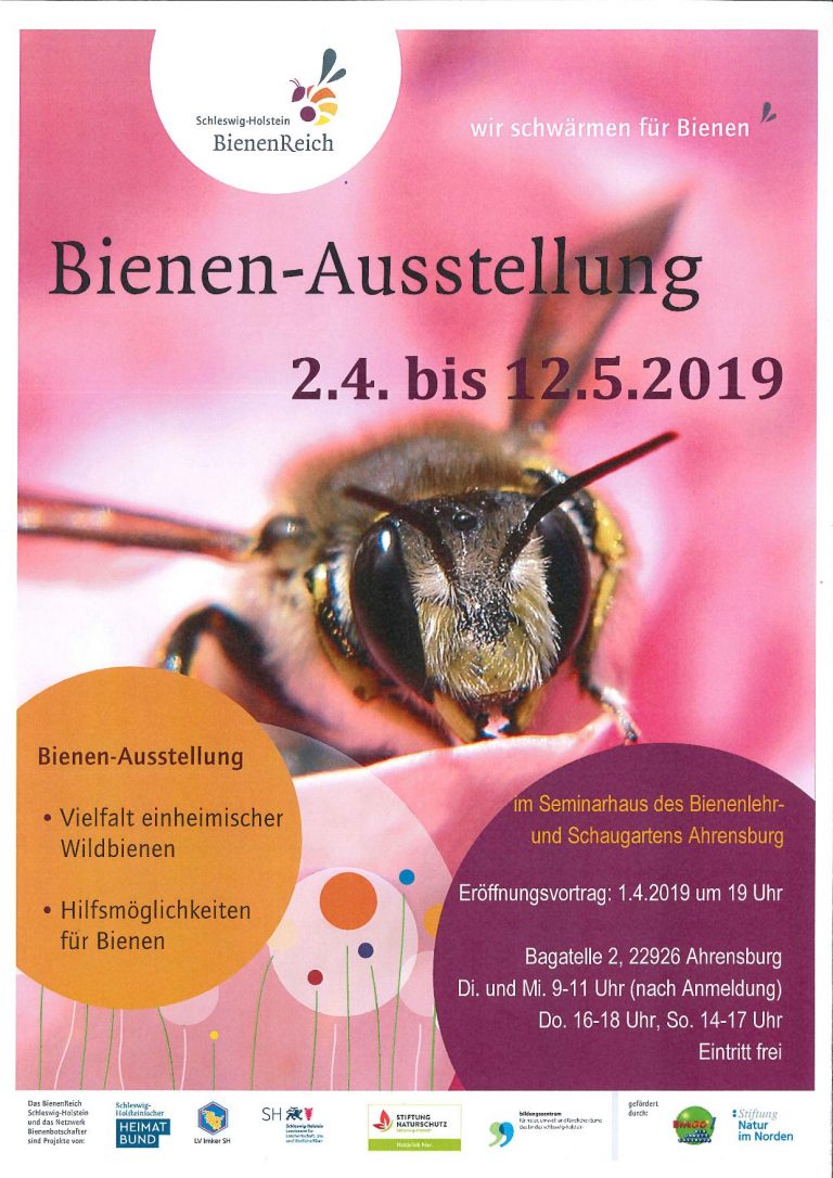 Wildbienen-Ausstellung in Ahrensburg startet mit Insektenvortrag