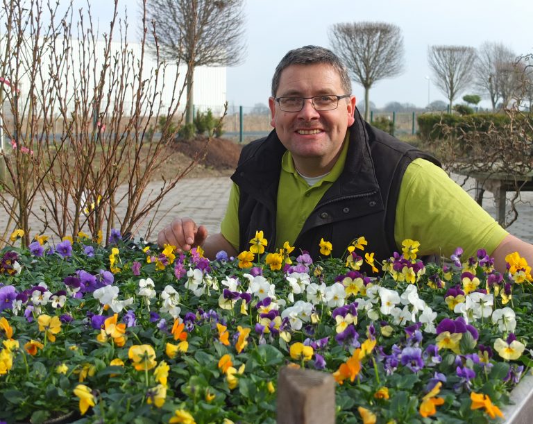 Frühlingsangebote in der Gartenbaumschule Andresen