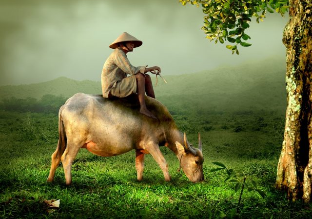 grandpa-519246_960_720