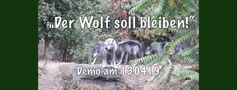 Bargteheider basteln für Demo