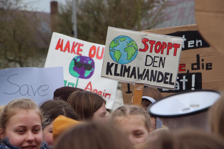 „Wir streiken, bis ihr handelt“ – Klimastreik in Bargteheide