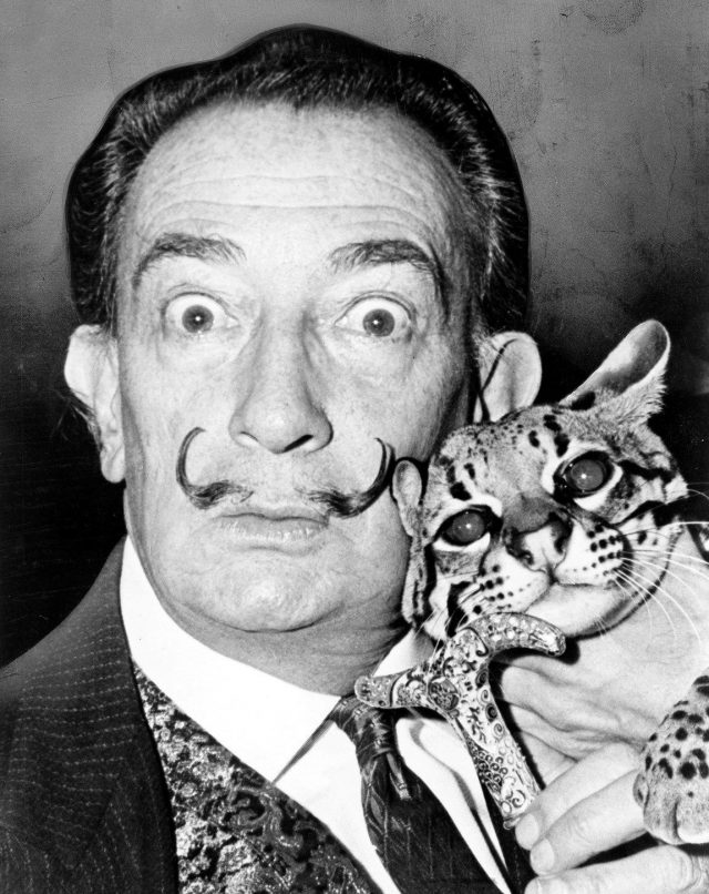 Salvador Dali und der Ozelot Copyright Roger Higgins