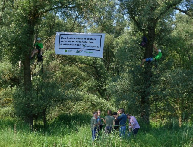 Aktion_Start_online-Radar-gegen-Waldzerstörung
