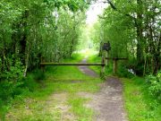 „Radtour Naturschutzgebiet Höltigbaum“