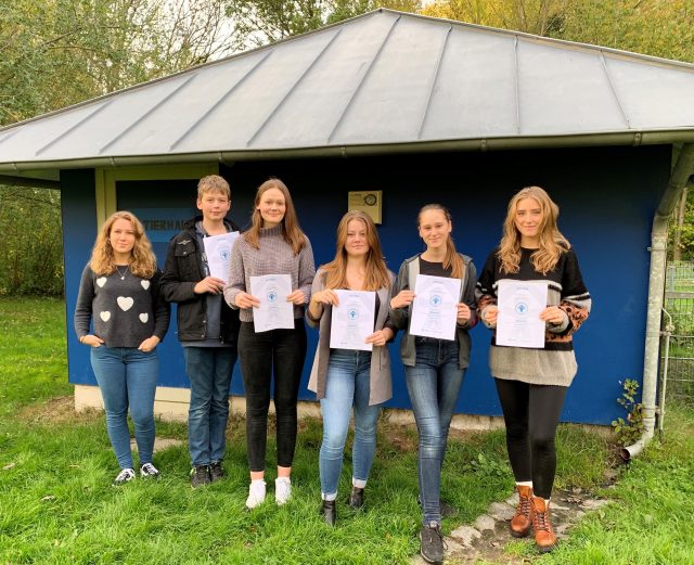 Babysitter Ahrensburg 2019