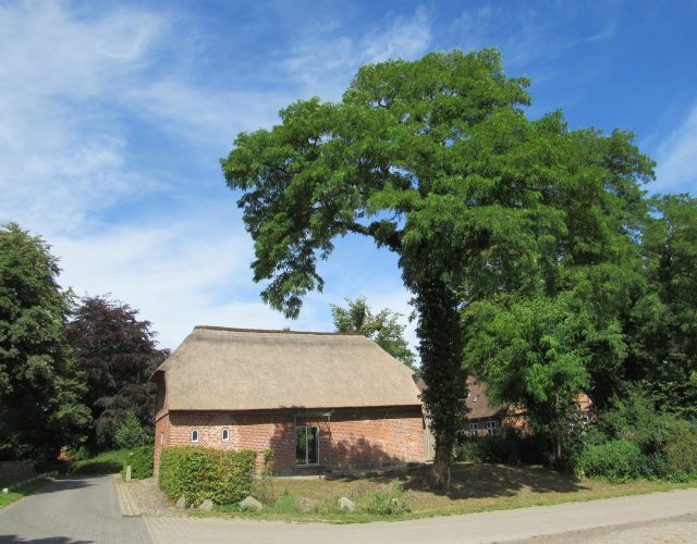 Remise August 2020