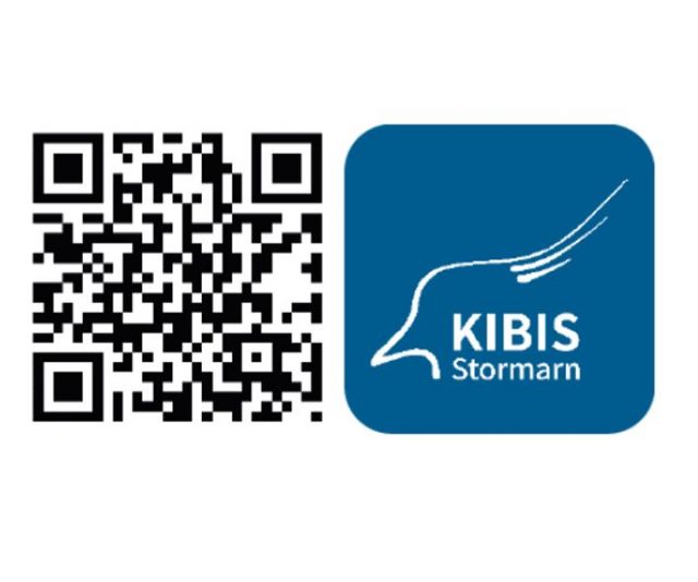 kibis