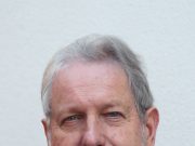 Kommentar: Fakten zum Kahlschlag am Südring