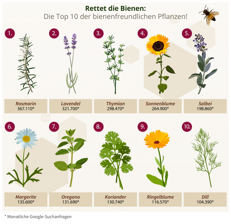 Rettet die Bienen – Die Top 10 der bienenfreundlichen Pflanzen!