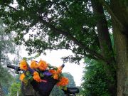 Wettbewerb STADTRADELN – anmelden & mitmachen